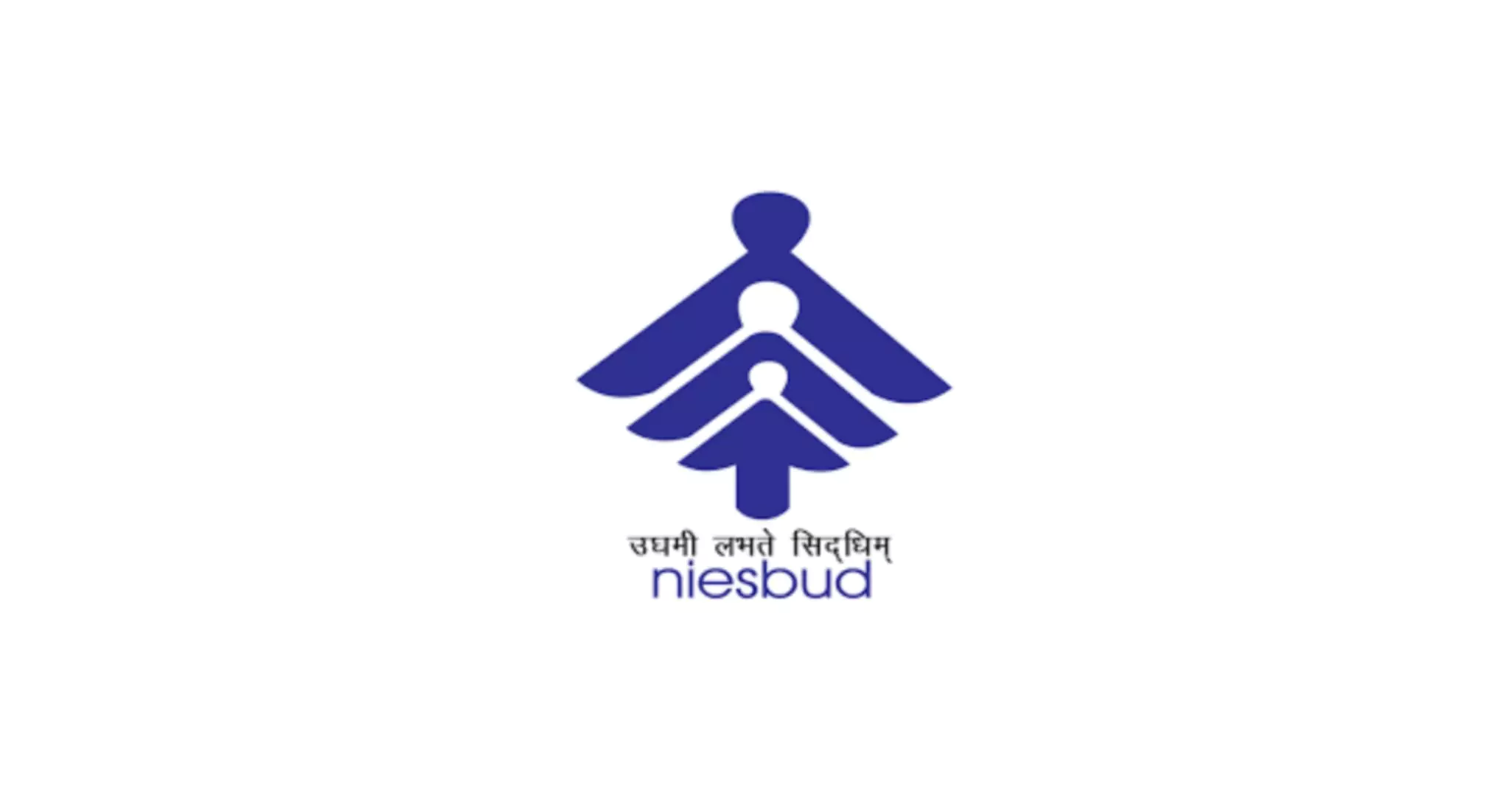 NIESBUD entrepreneurship development programs